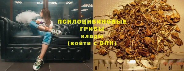 эйфоретик Аркадак