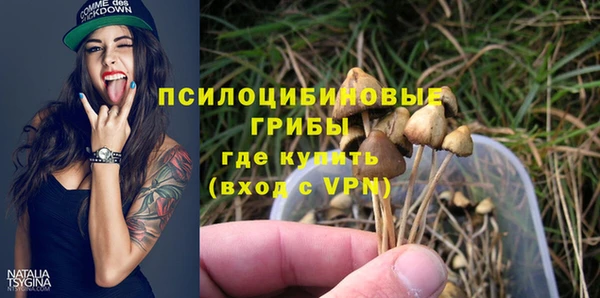 spice Алзамай
